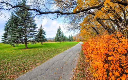 1753535 (a): :1920x1195